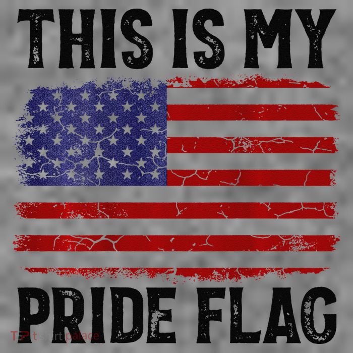 This Is My Pride Flag US Flag, 4th Of July Patriotic Toddler Hoodie