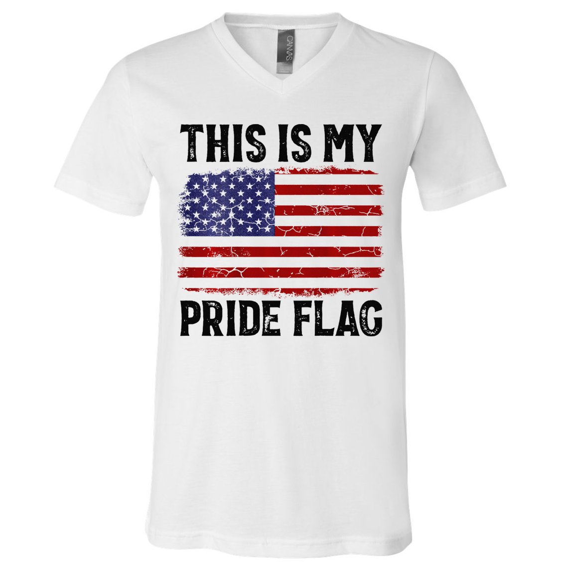 This Is My Pride Flag US Flag, 4th Of July Patriotic V-Neck T-Shirt