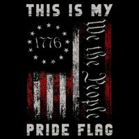 This Is My Pride Flag Usa American 4th Of July Wool Snapback Cap