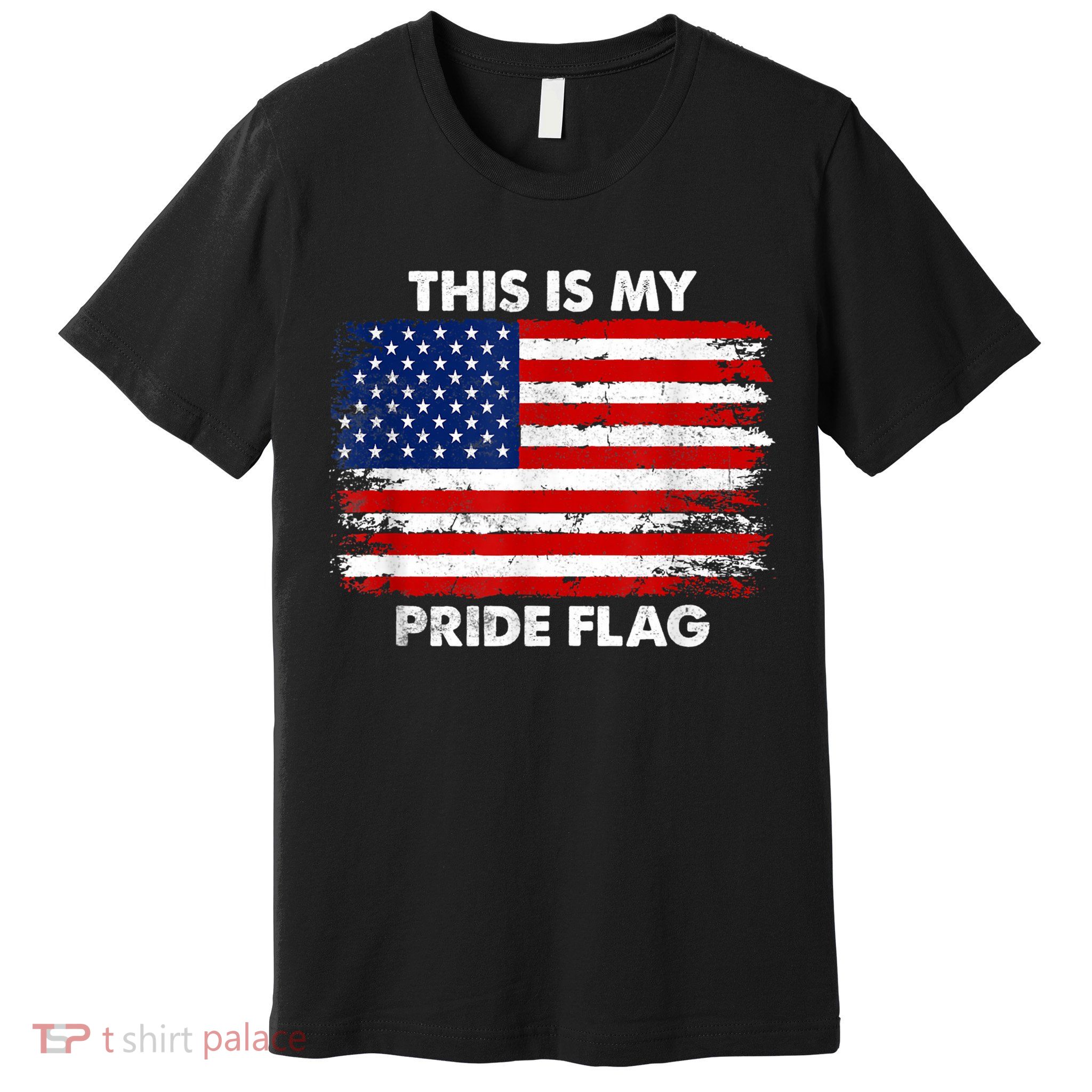 This Is My Pride Flag Premium T-Shirt
