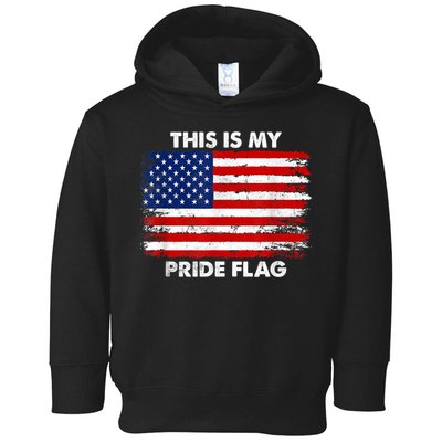 This Is My Pride Flag Toddler Hoodie