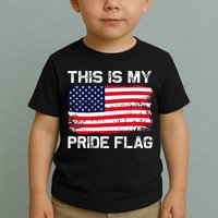 This Is My Pride Flag Toddler T-Shirt