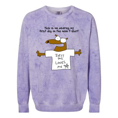 This Is My Firstdog Onthemoon Colorblast Crewneck Sweatshirt