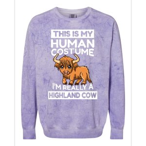 This Is My Human Costume IM Really A Highland Cow Colorblast Crewneck Sweatshirt