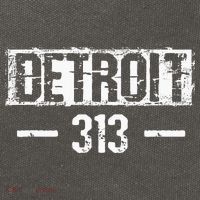 This Is My Detroit 313 Michigan Distressed Cotton Canvas Backpack