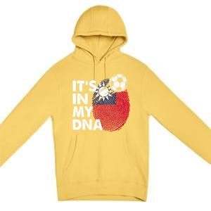 Taiwan In My Dna Taiwanese Flag Team Taiwan Gift Premium Pullover Hoodie