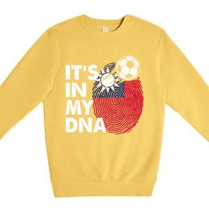 Taiwan In My Dna Taiwanese Flag Team Taiwan Gift Premium Crewneck Sweatshirt