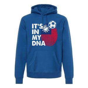 Taiwan In My Dna Taiwanese Flag Team Taiwan Gift Premium Hoodie