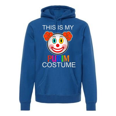 This Is My Purim Costume Funny Gift Premium Hoodie