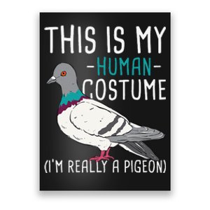 This Is My Human Costume Pigeon Racing Lover Bird Breeder Poster