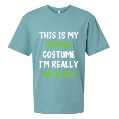 This Is My Human Costume Im Really An Alien Lazy Costume Sueded Cloud Jersey T-Shirt