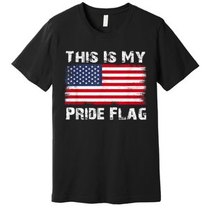 This Is My Pride Flag Premium T-Shirt