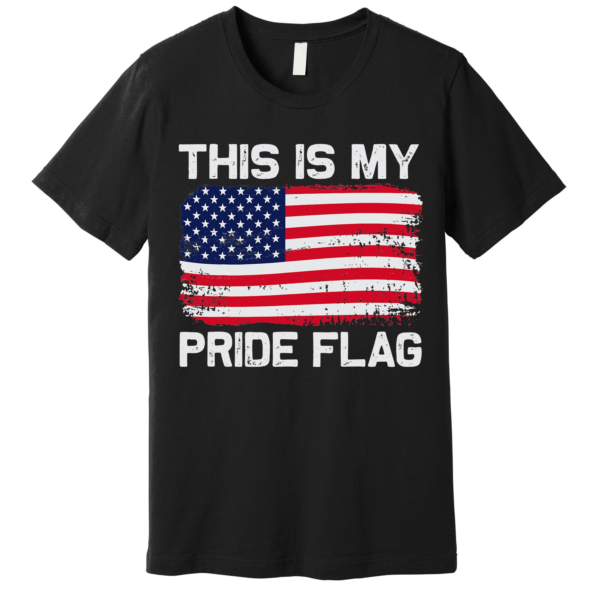 This Is My Pride Flag Premium T-Shirt