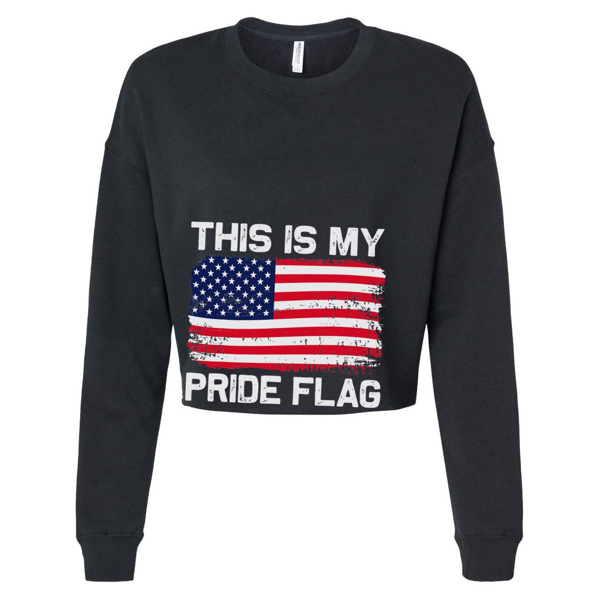 This Is My Pride Flag Womens Tank Top