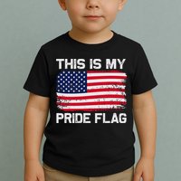 This Is My Pride Flag Toddler T-Shirt