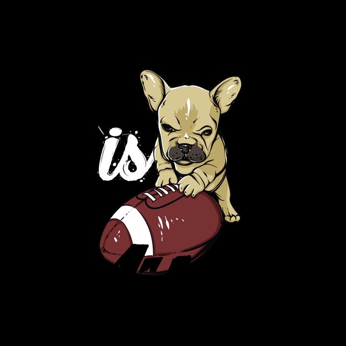 This Is Mine Cute Football Dog Flatbill Hat