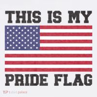 This Is My Pride Flag Usa American 4th Of July Patriotic Premium T-Shirt