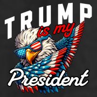 Trump Is My President Adult Drive Performance Visor