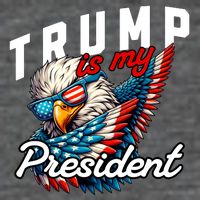 Trump Is My President 7 Panel Mesh Trucker Snapback Hat