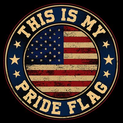 This Is My Pride Flag American Flag T-Shirt