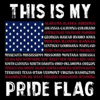 This Is My Pride Flag USA US Flag Patriotic Cooling Performance Crew T-Shirt