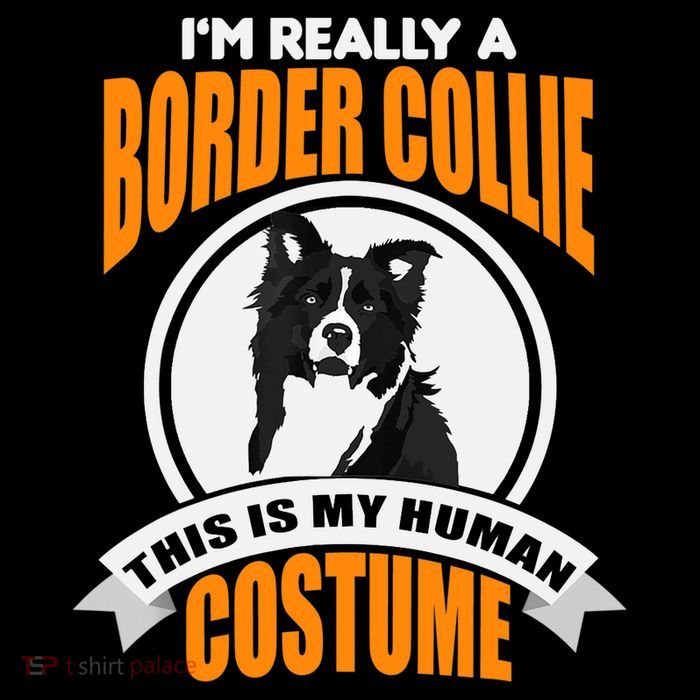 This Is My Human Costume Im Really a Border Collie Christmas Sustainable Bucket Hat