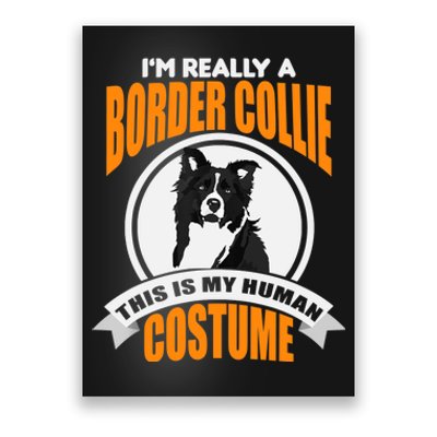 This Is My Human Costume Im Really a Border Collie Christmas Poster