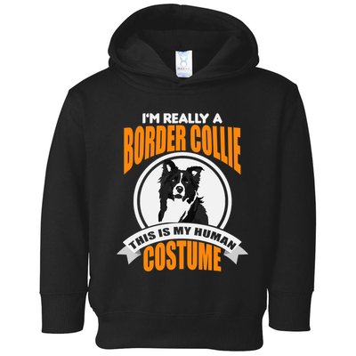 This Is My Human Costume Im Really a Border Collie Christmas Toddler Hoodie