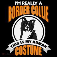 This Is My Human Costume Im Really a Border Collie Christmas Women's V-Neck T-Shirt