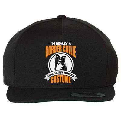 This Is My Human Costume Im Really a Border Collie Christmas Wool Snapback Cap