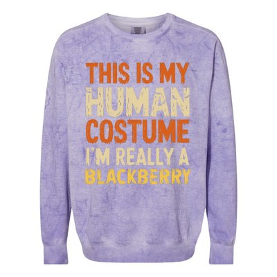 This Is My Human Costume IM Really A Blackberry Halloween Colorblast Crewneck Sweatshirt