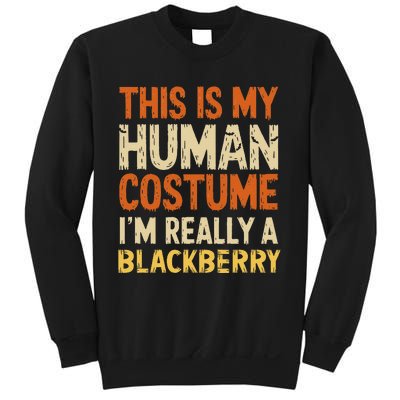 This Is My Human Costume IM Really A Blackberry Halloween Sweatshirt