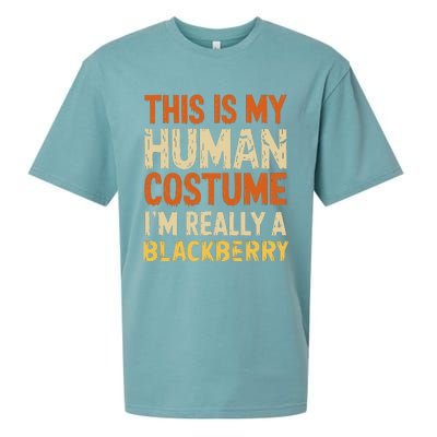 This Is My Human Costume IM Really A Blackberry Halloween Sueded Cloud Jersey T-Shirt