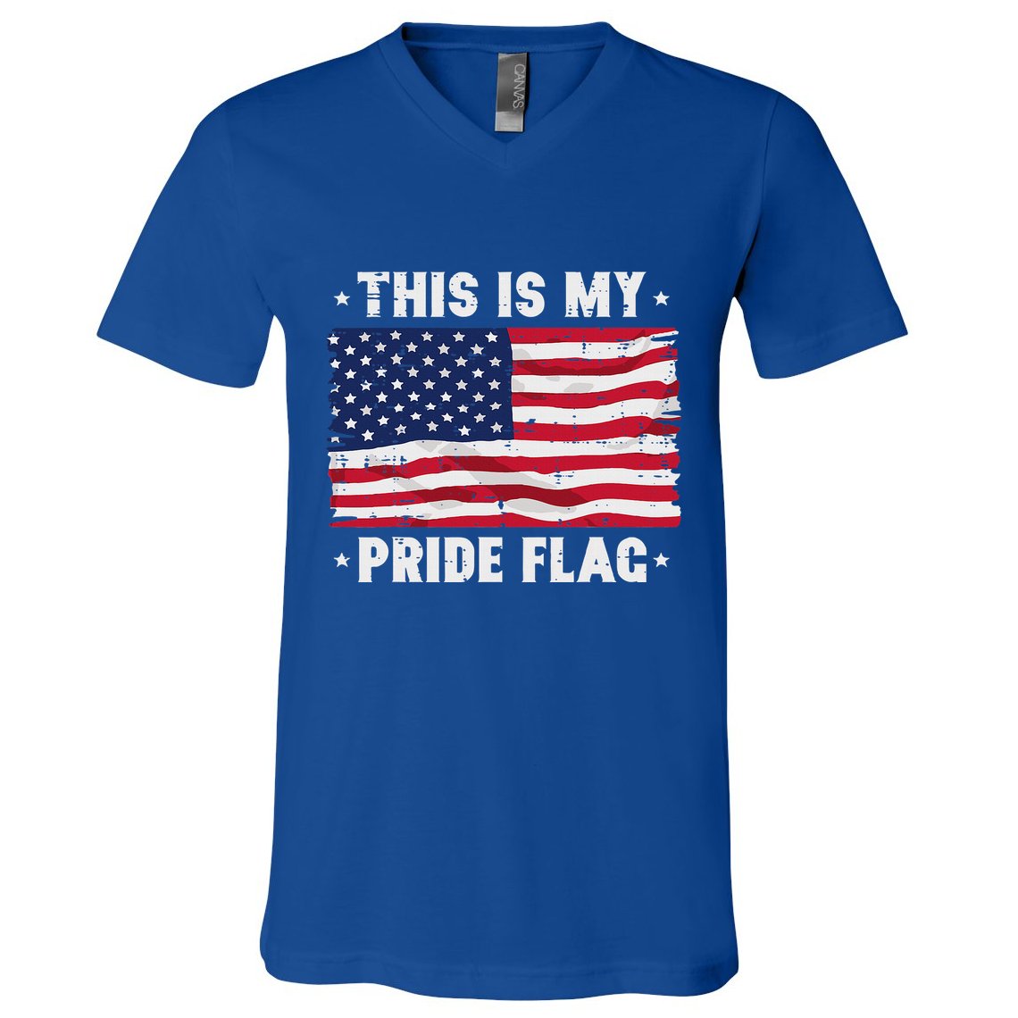 This Is My Pride Flag America Anti Lgbtq Patriot V-Neck T-Shirt