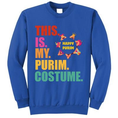 This Is My Purim Costume Funny Jewish Hataschen Gift Sweatshirt