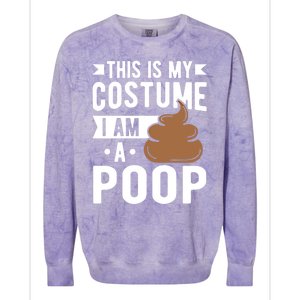 This Is My Costume I Am A Poop Halloween Poop Gift Colorblast Crewneck Sweatshirt