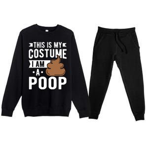 This Is My Costume I Am A Poop Halloween Poop Gift Premium Crewneck Sweatsuit Set