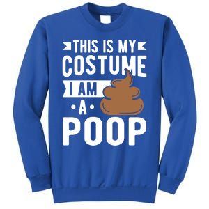 This Is My Costume I Am A Poop Halloween Poop Gift Sweatshirt