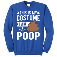 This Is My Costume I Am A Poop Halloween Poop Gift Sweatshirt