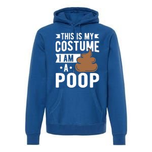 This Is My Costume I Am A Poop Halloween Poop Gift Premium Hoodie