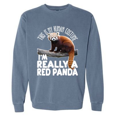 This Is My Hu Costume IM Really A Red Panda Gift Garment-Dyed Sweatshirt