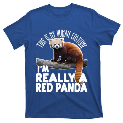 This Is My Hu Costume IM Really A Red Panda Gift T-Shirt