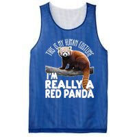 This Is My Hu Costume IM Really A Red Panda Gift Mesh Reversible Basketball Jersey Tank