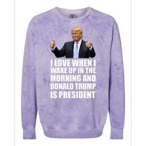 Donald Trump Is My President Colorblast Crewneck Sweatshirt