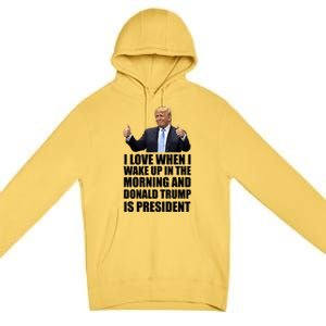 Donald Trump Is My President Premium Pullover Hoodie