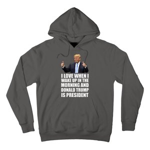 Donald Trump Is My President Hoodie