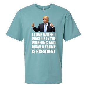 Donald Trump Is My President Sueded Cloud Jersey T-Shirt