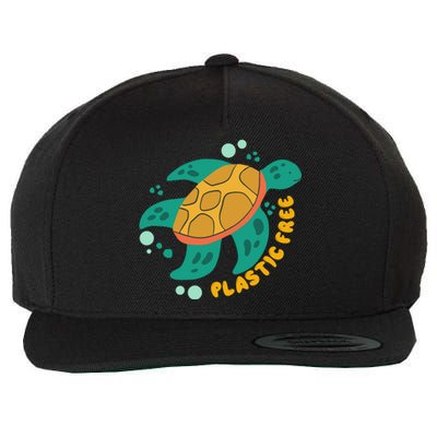 There Is No Planet B Gift Turtle Gift Save The Ocean Gift Wool Snapback Cap