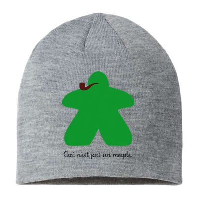 This Is Not a Meeple Sustainable Beanie