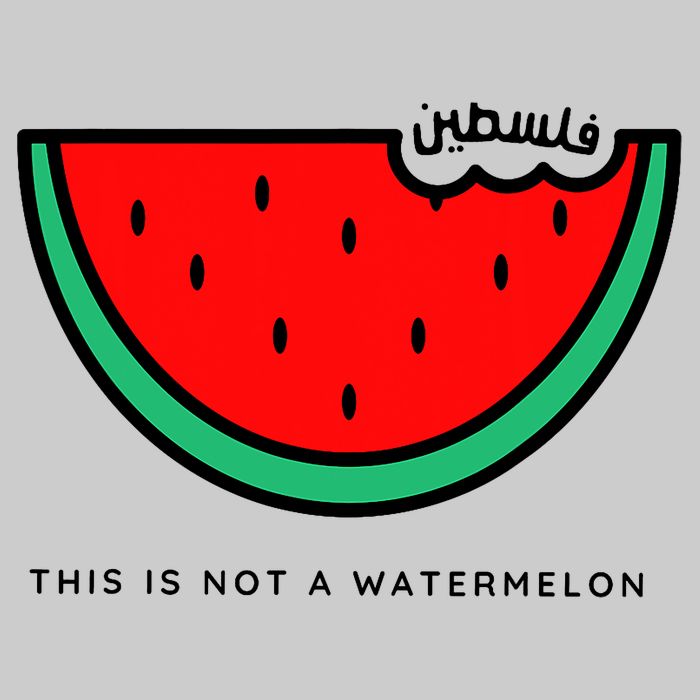 This Is Not A Watermelon Palestine Collection Tie-Dye T-Shirt